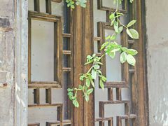 -老门东历史文化街区
