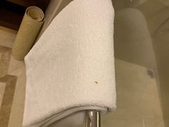 -宜春明月山维景国际温泉度假酒店