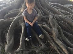 -东莞植物园