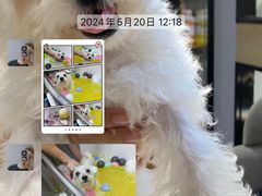 -汪小喵宠物·戴维斯乐芳希施宠馨宝皮毛调理洗护店