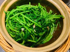 啫啫虾酱空心菜-熠盛粤味(永康路店)