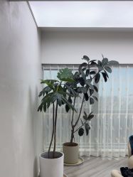 -HEYAN荷妍专业脱毛连锁机构