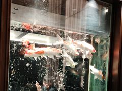 -浩运·海鲜青岛菜·海胆水饺(石老人店)
