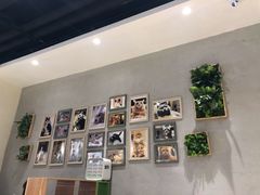 -藏猫猫咖啡主题馆(中央大道店)