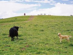 -阿坝州汶川特别旅游区