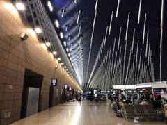 -上海浦东国际机场-T2航站楼