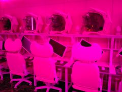 -NB网咖电竞连锁(泺安路店)