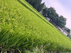 -北坞公园