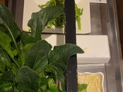-老版火锅(半坡店)