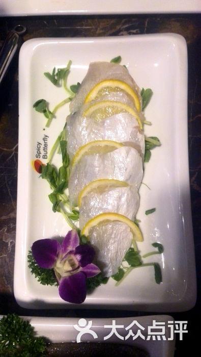 深海耗儿鱼_紫石竹