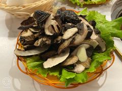-菌海森林·非遗野生菌火锅(西山区滇池路摩根道店)