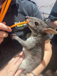 -Zoolung Zoolung动物主题公园(海信广场店)