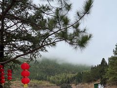 -仙水洋