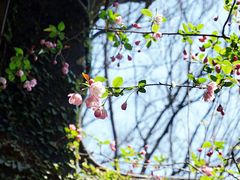 -无锡惠山寺