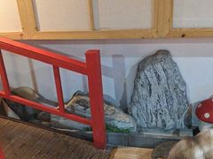 -白兔子密室(长寿路店)