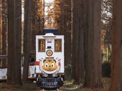 -黄海国家森林公园