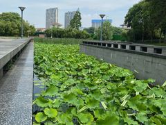 -蠡湖大桥公园