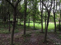 -蜀冈西峰生态公园