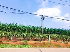 -硇洲岛旅游区