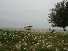 -玫瑰海岸文化旅游度假区