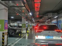 -上海交通大学医学院附属仁济医院东院·停车场