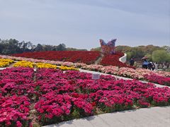 -上海鲜花港