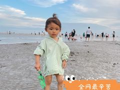 -奉贤海滩