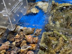 -徐记海鲜·宴会(大唐西市|丰庆店)