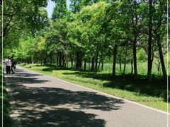 -昆山城市生态森林公园