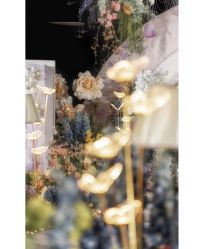 -汾阳花园酒店·宴会厅