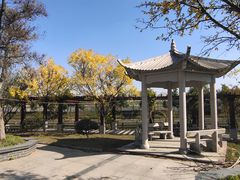 -碧水园农庄