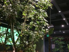 -日上三甘(三里屯店)