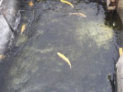 -北京水岸山吧度假村(雁栖镇店)