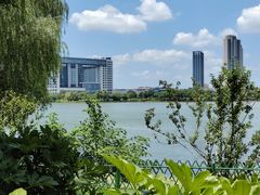 -金银湖国家城市湿地公园