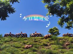 -密云玫瑰情园