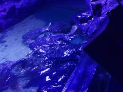 -沈阳海洋探索中心