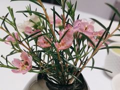 -西湖春天(中州店)