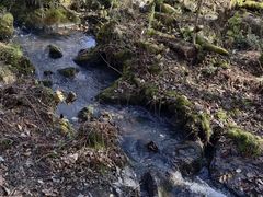 -五营红松林海景区