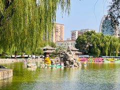 -团结湖公园