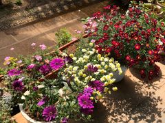 -浔岚云舍mist静谧观景美宿(丽江古城店)