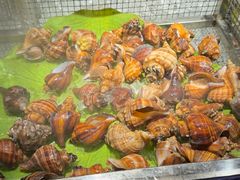 -奔海甄选·活鲜刺身铁板烧自助(太原里店)