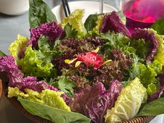 -慢丽江·云南野生菌土鸡锅(付家庄店)