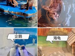-华夏文旅西安度假区