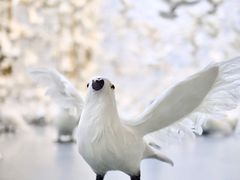 -上海宝龙美术馆