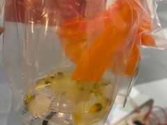 鲜百香双响炮-CoCo都可(小寨赛格店)