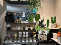 -Dogi&kiki Coffee(中心商务大厦店)