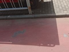 -静园(和平区)