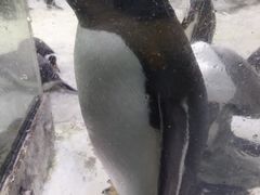 -大连圣亚海洋世界