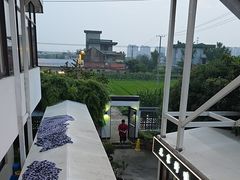 -大队长大灶鹅