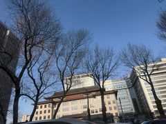 -黑龙江中医药大学